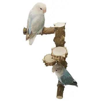 Papūga, Ešeriai, Medinis Paukštis Stovi Kolona Papūga Gamtos Ešerys Stovi Medinės Laukinės Papūgos Sūpynės Žaislas Paukščiui Prekių Kabo Narve Pet