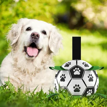 Šuo Futbolo Žaislai Išmintis Šuns Žaislai, Šunų Mokymo, Specialiojo Kamuolys Šuo Interaktyvūs Žaislai Nesunaikinami Šuo Žaidimai Naminių Reikmenys