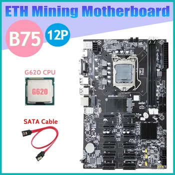B75 12 PCIE ETH Kasybos Plokštė+G620 PROCESORIUS+SATA Kabelis LGA1155 MSATA USB3.0 SATA3.0 B75 DDR3 BTC Miner Plokštė